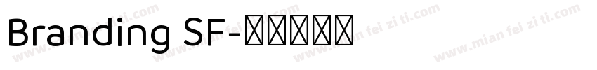 Branding SF字体转换